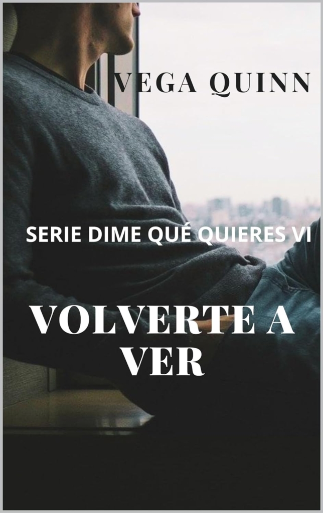 Volverte a ver, novela de romance LGBT, de Vega Quinn. Sagas de libros románticos.