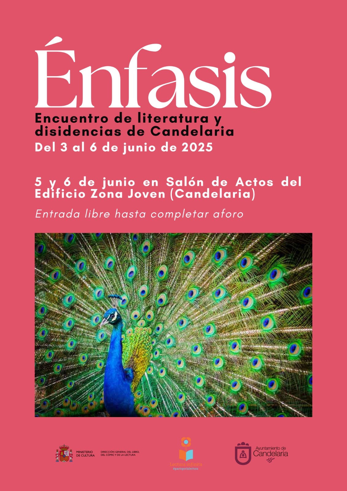 Énfasis. Encuentro de literatura y disidencias de Candelaria, Tenerife